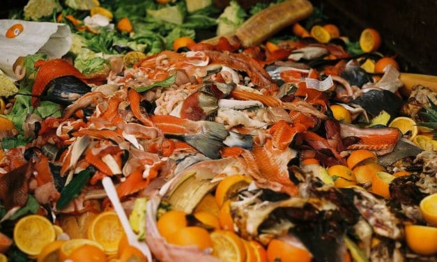 Top 12 tips to reduce food waste for time-poor people