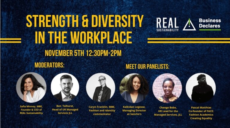 Strength & Diversity in the Workplace - real sustainability panel dicsussion