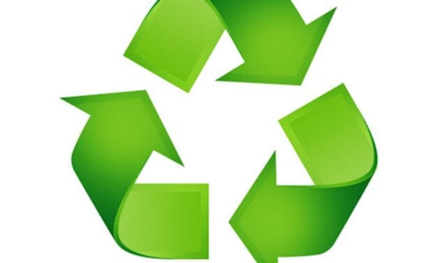 Circular and Fair Business Models