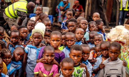 Why Don’t Developing Countries Develop?