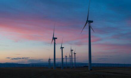 How to Communicate the Emergency and Lead a Conversation and Action